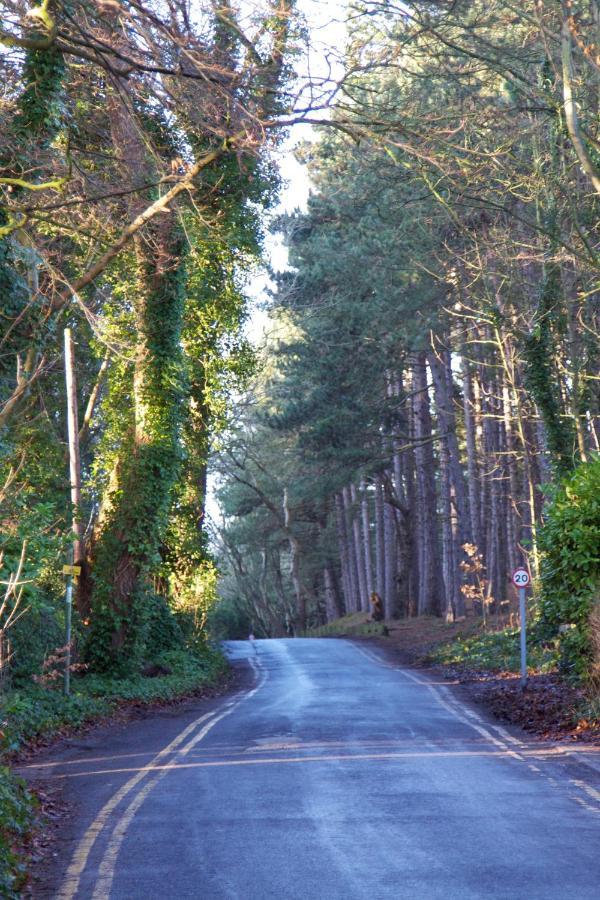 Formby Pinewood Studio Bed & Breakfast Екстериор снимка